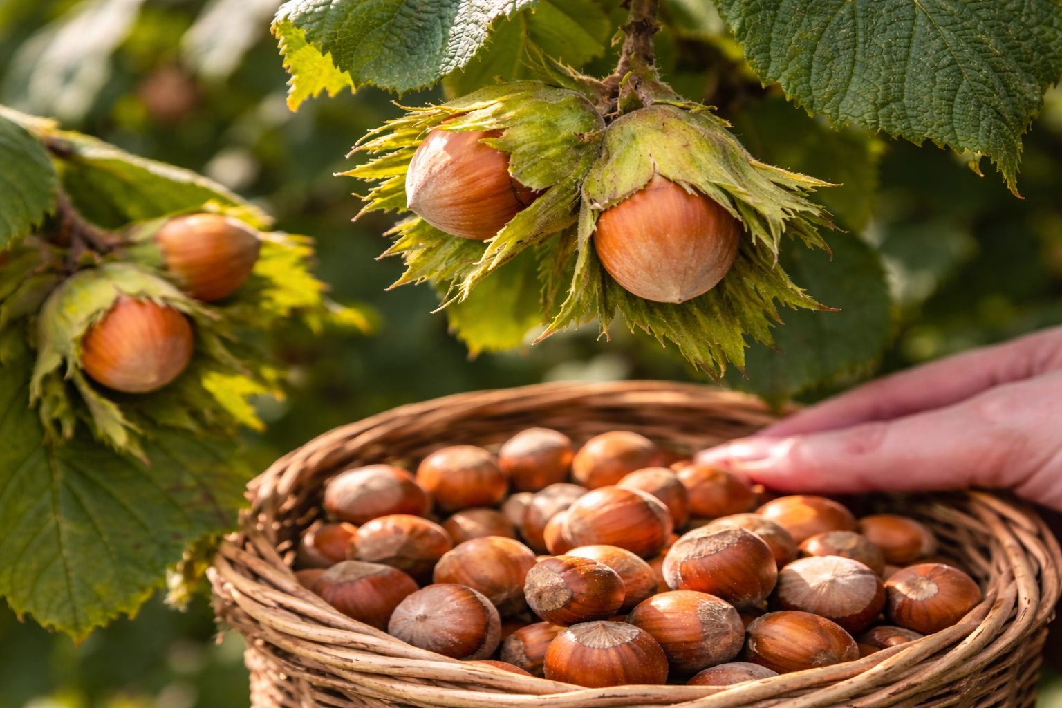 ChatGPT Image 2026. jan. 11. 16_47_41